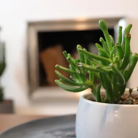 Hypercentre - Proche Place Republique *