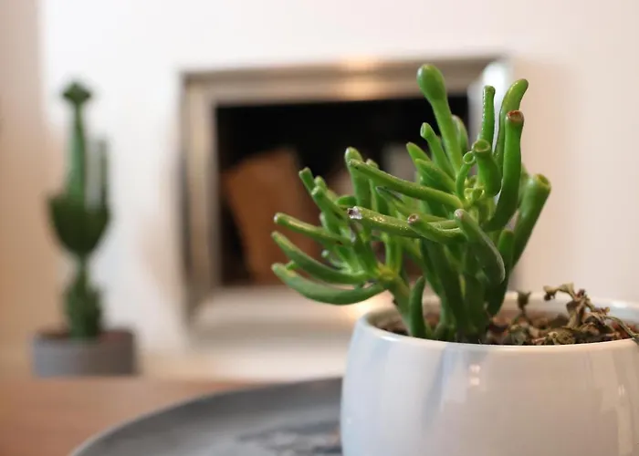 Hypercentre - Proche Place Republique *